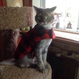 Meet your Posher, Gary